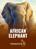 African-Elephant icon